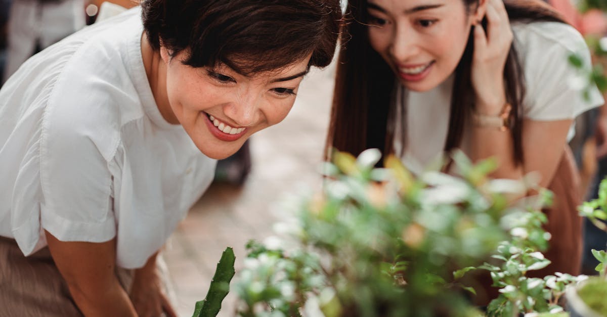 The success of a real estate purchase in the United States depends largely on careful preparation. The process is broken down into several key phases that cover the search, acquisition, and possession of the property.