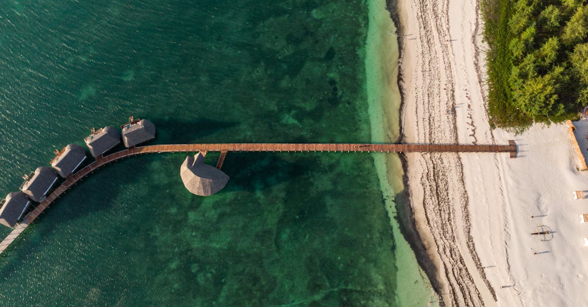 découvrez nos chalets confortables et spacieux, situés au cœur de la nature. idéales pour des vacances en famille ou entre amis, profitez d'un cadre enchanteur pour vous ressourcer et vous adonner à diverses activités de plein air.