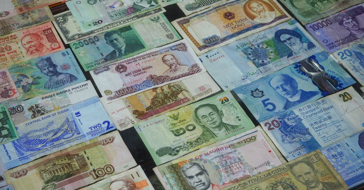 découvrez les enjeux et opportunités de l'investissement étranger. explorez comment les entreprises peuvent tirer parti des investissements internationaux pour se développer et renforcer leur présence sur le marché mondial.