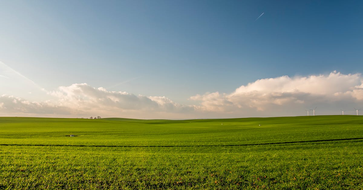 découvrez l'univers fascinant de la terre, son importance écologique, ses typologies diverses et son rôle clé dans notre quotidien. explorez les enjeux liés à la gestion des sols et à la biodiversité.