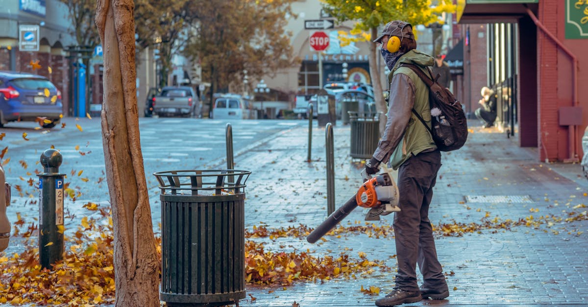 Maintaining a property in good condition isn't limited to major repairs; routine maintenance is a fundamental part of a landlord's responsibilities. These operations aim to preserve the value and functionality of the property over time. Regular maintenance prevents serious damage that is costly to repair.