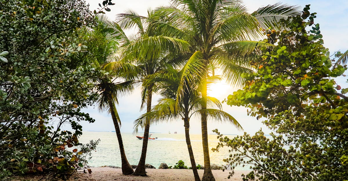 découvrez les caractéristiques des locations à miami, des appartements modernes aux villas luxueuses. profitez de la plage, du climat ensoleillé et d'un style de vie dynamique dans cette ville emblématique. trouvez la location idéale adaptée à vos besoins et vivez une expérience inoubliable à miami.
