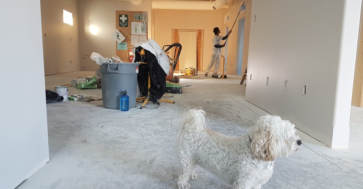 découvrez nos services de rénovations sur mesure pour revitaliser votre espace de vie. que ce soit pour remodeler votre intérieur ou moderniser votre extérieur, notre équipe d'experts vous accompagne à chaque étape de votre projet de rénovation. transformez votre maison en un lieu qui vous ressemble grâce à des solutions innovantes et de qualité.