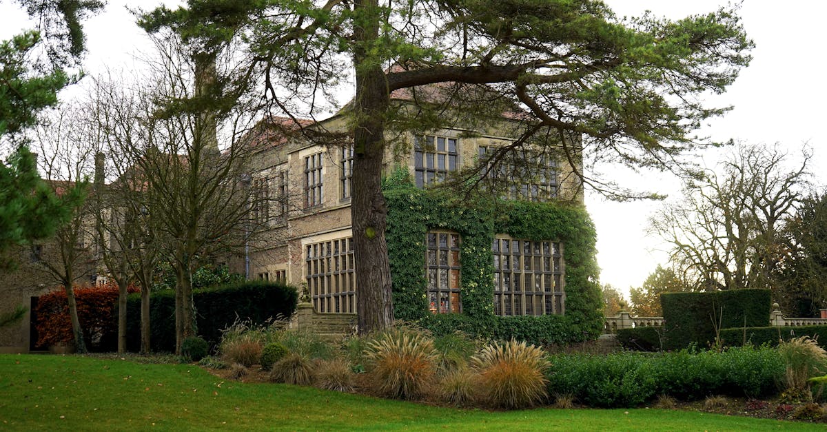 découvrez des propriétés rurales uniques, offrant un cadre de vie paisible et authentique. explorez des maisons de charme, des terrains agricoles et des résidences à la campagne, idéales pour les amoureux de la nature et ceux en quête de tranquillité.