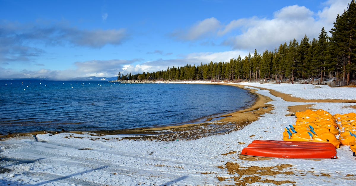 Discover the different costs of vacation rentals, tips for optimizing your budget, and ensuring the best experience during your vacation.