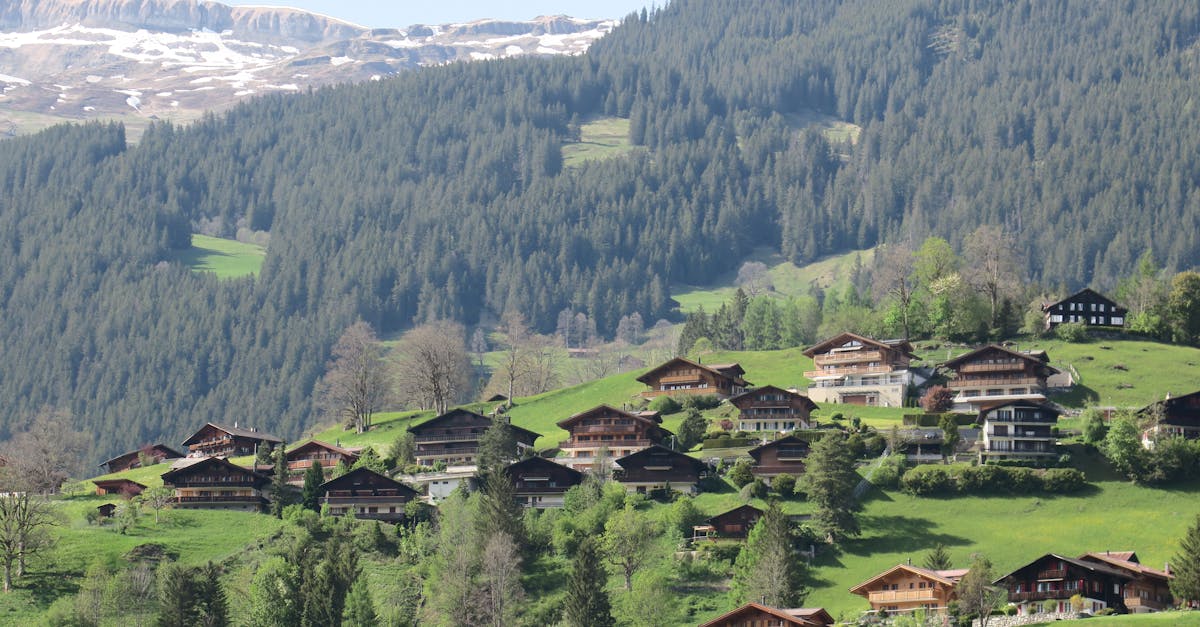 découvrez notre sélection de chalets confortables et authentiques, idéaux pour vos escapades en pleine nature. profitez d'un séjour inoubliable, entre détente et aventures, dans des paysages à couper le souffle.