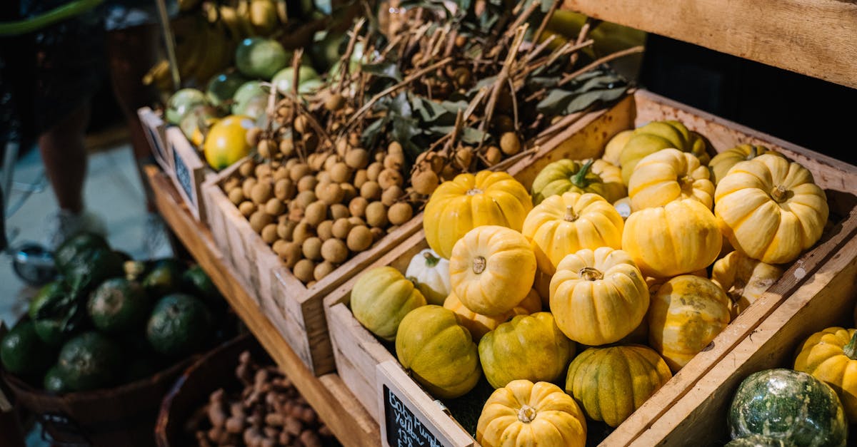 découvrez une sélection de fermes à vendre, idéales pour les passionnés d'agriculture ou ceux cherchant un cadre de vie calme à la campagne. explorez nos offres variées et trouvez la propriété de vos rêves au cœur de la nature.