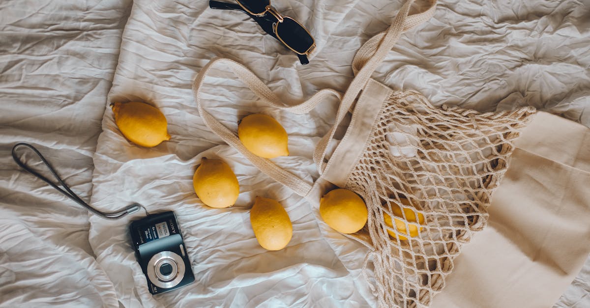 Cocoon interiors: havens of comfort in 2025