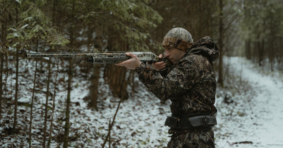 The properties offered in Augusta County are not limited to the simple acquisition of land. We find a diversity of properties, including complete equipped estates, natural ranches or even wild land to develop. Each typology responds to a specific hunter profile, from novice to professional.