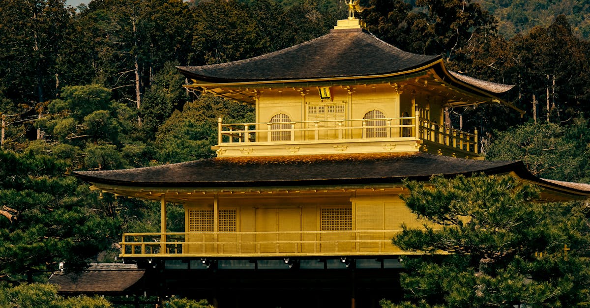Discover everything you need to know about inheritance: issues, processes, and legalities. Learn how to effectively manage an estate and ensure a smooth transfer of assets.