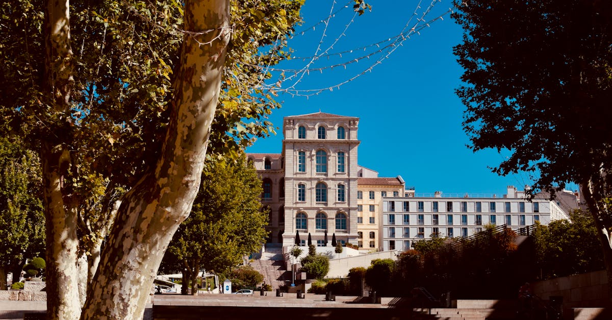 découvrez marseille, la métropole méditerranéenne riche en histoire et en culture. explorez ses célèbres sites tels que le vieux-port, la basilique notre-dame de la garde et savourez la cuisine locale. plongez dans l'ambiance envoûtante de cette ville dynamique.