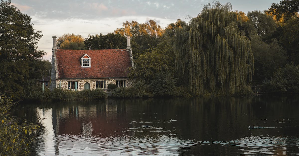 découvrez des propriétés rurales uniques offrant tranquillité, espaces verts et possibilités d'évasion. explorez notre sélection de biens immobiliers dans des environnements authentiques, parfaits pour les amoureux de la nature et ceux en quête de sérénité.