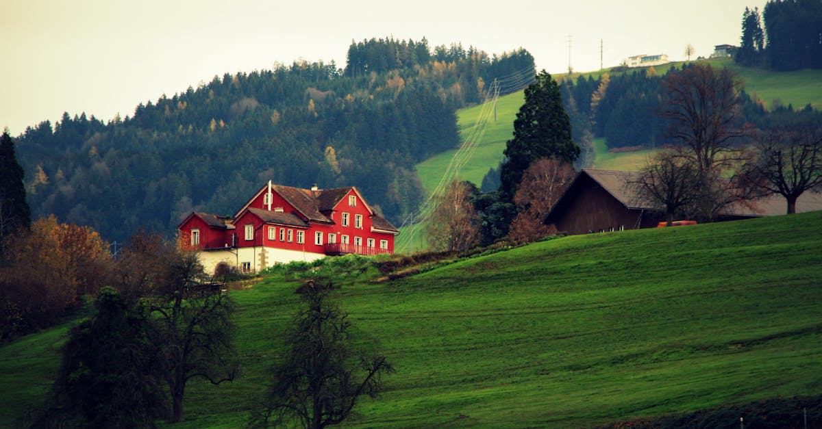 découvrez les meilleures propriétés rurales à vendre, idéales pour ceux qui recherchent la tranquillité de la campagne, un cadre naturel exceptionnel et un mode de vie paisible. explorez nos offres variées, allant des maisons traditionnelles aux fermes pittoresques.