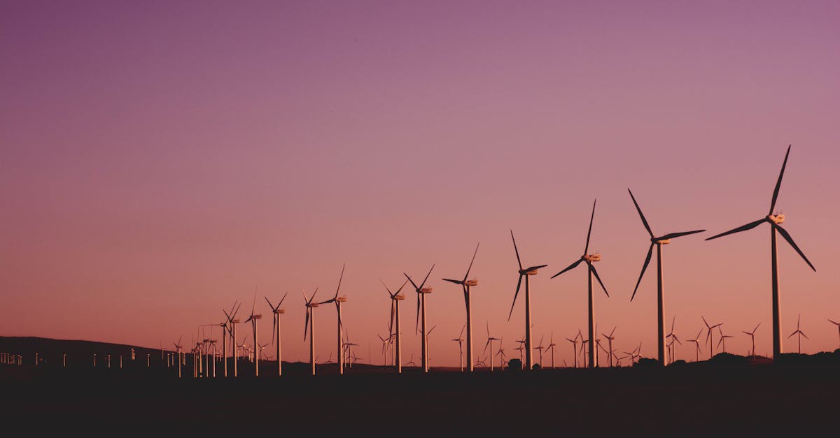 découvrez les enjeux de la durabilité et comment adopter des pratiques respectueuses de l'environnement. apprenez à intégrer la durabilité dans votre quotidien pour un avenir plus vert.