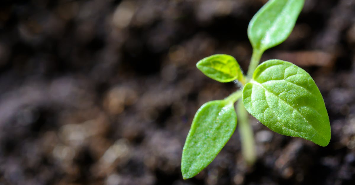 découvrez l'importance de la durabilité dans notre monde moderne. apprenez comment adopter des pratiques durables au quotidien pour préserver l'environnement et promouvoir un avenir meilleur pour les générations futures.