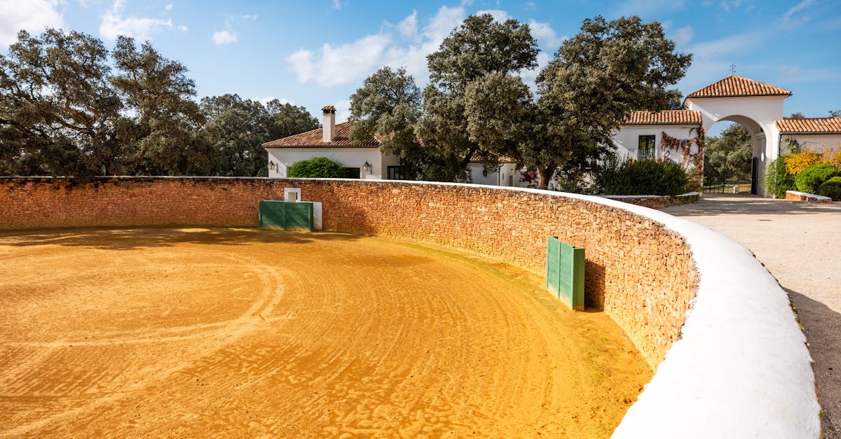 Descubra Cristina Paloma Toro, uma personalidade talentosa conhecida por seu compromisso com as artes e a cultura. Explore sua carreira, suas principais obras e sua influência no cenário contemporâneo.