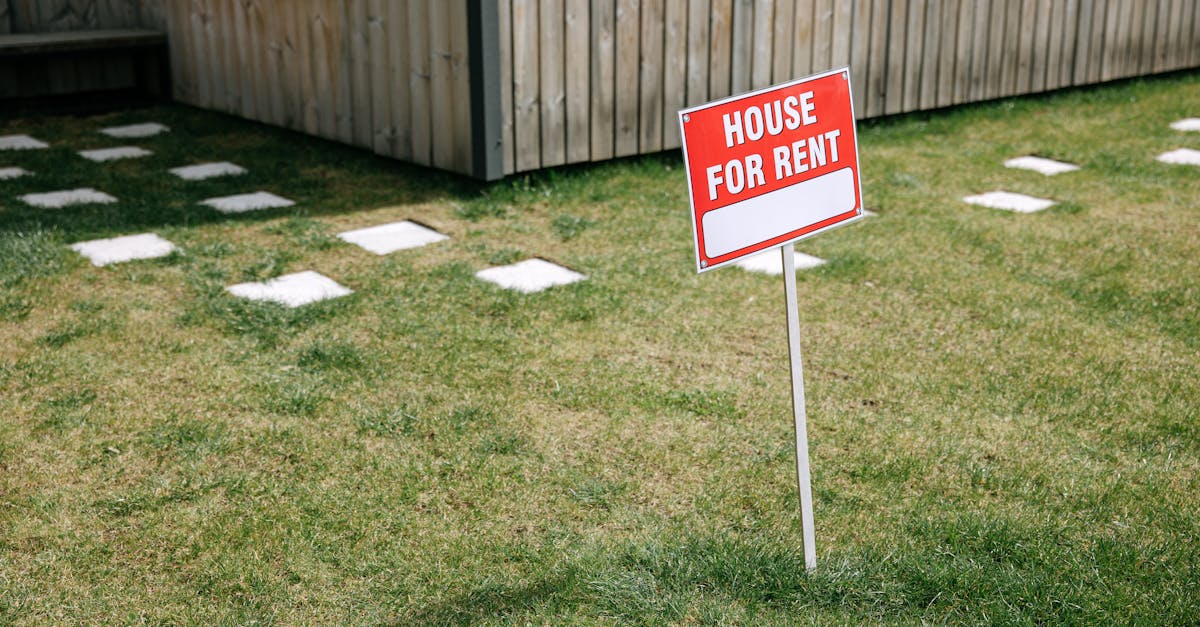 Discover the essential lease clauses: tenant and landlord obligations, duration, rent, termination, guarantees. A clear guide and examples.