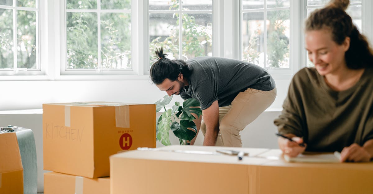 découvrez tout ce qu'il faut savoir sur les prêts hypothécaires : types de prêts, conseils pour obtenir le meilleur taux, et étapes essentielles de l'achat immobilier en france.