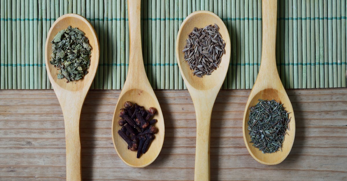 découvrez nos conseils pour bien choisir une maison de retraite adaptée à vos besoins : critères essentiels, démarches, et astuces pour un accompagnement optimal de vos proches.
