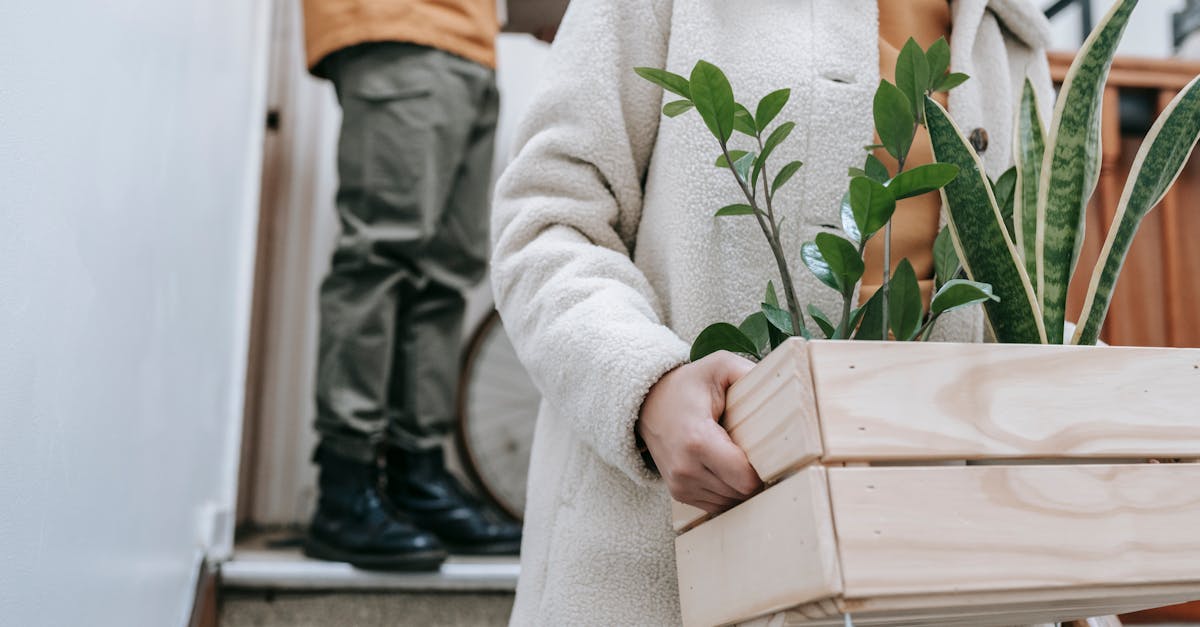 découvrez l'univers de la location avec nos conseils et astuces pour réussir vos projets de renting. que ce soit pour un appartement, une voiture ou du matériel, trouvez les meilleures offres et simplifiez votre expérience de location.