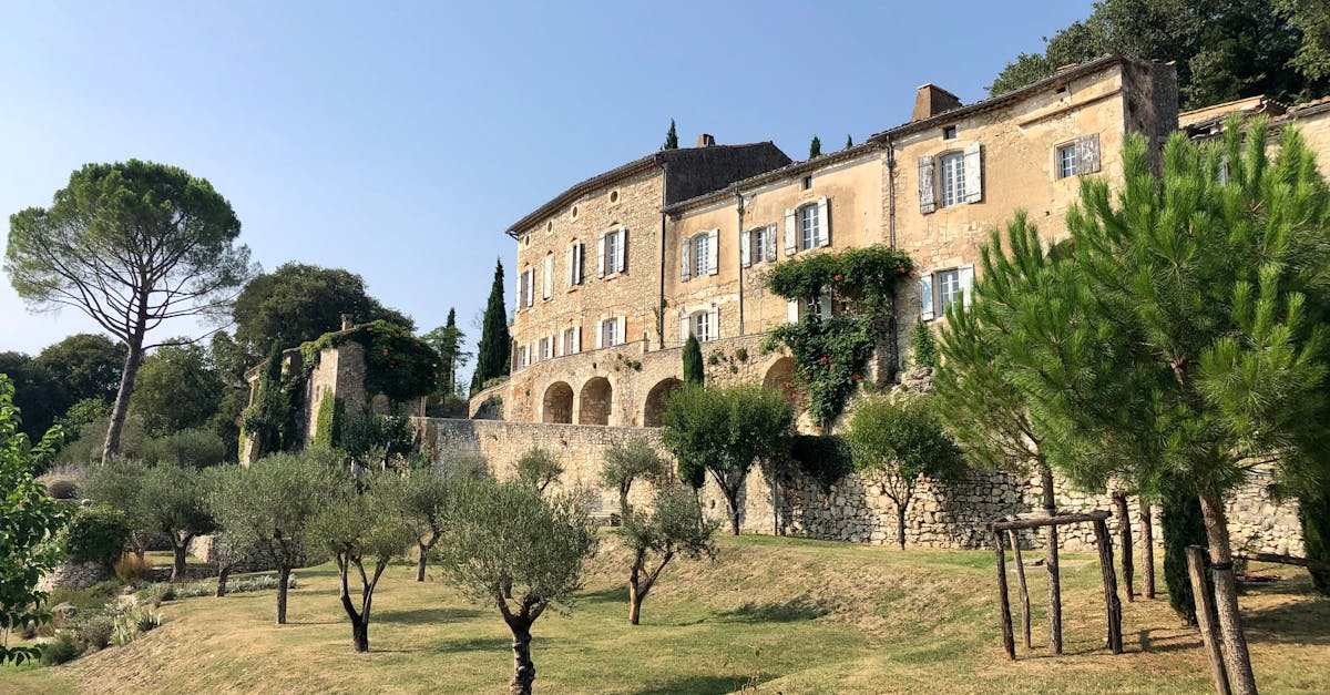 découvrez notre villa à louer, un havre de paix offrant confort et élégance. profitez d'un cadre idyllique pour des vacances inoubliables, avec des équipements modernes et un accès facile aux attractions locales. réservez dès maintenant pour vivre une expérience unique!